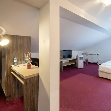 Amadea - Cityhotel ホテル *